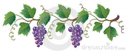 23+ Grape Vine Clip Art | ClipartLook