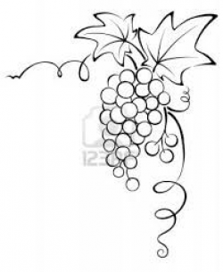 grape vine clip art - Google Search | clip art | Vine ...