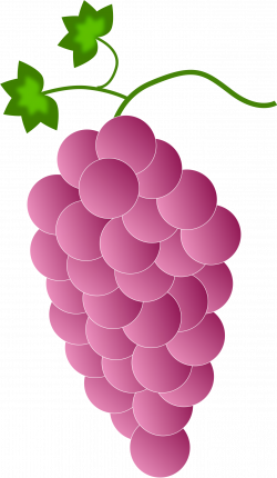 Clipart - pink grapes