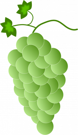 Clipart - Green\white Grapes