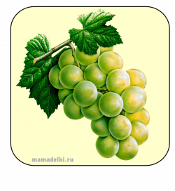 winogrona | jedzenie - produkty | Pinterest | Clip art