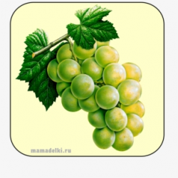 Grapes Clipart Green Item - Seedless Fruit - Download ...
