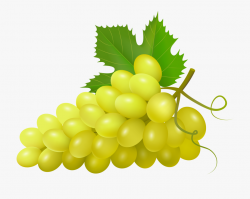 Grapes Clipart Health Food - Imagens De Uvas Verdes #120636 ...