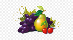 Grape Clipart health food 19 - 900 X 500 Free Clip Art stock ...