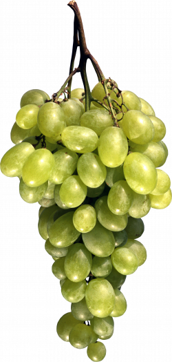 Grape PNG | Web Icons PNG