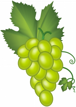 White Grape Cluster PNG Clip Art - Best WEB Clipart