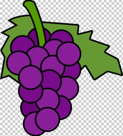 Common Grape Vine Wine Free Content PNG, Clipart, Artwork ...