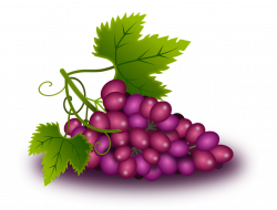 Red Grapes Cliparts#3834714 - Shop of Clipart Library