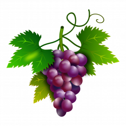 Purple Grapes 1920x1920 | Clipart Everyday Foods | Pinterest