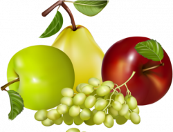 Grape Clipart Mix Vegetable - Png فواكه , Transparent ...