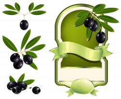 Olive oil Label Clip art - Black olives Collection 1000*822 ...