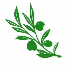 olive tree branch | Things that caught my eye | Pinterest | Clip art
