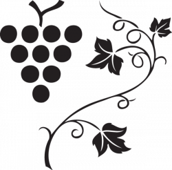 562 grapes & vine | Clip Art from OldCuts.co | Pinterest | Grape ...