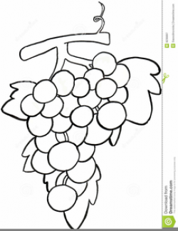 Grape Clipart Black And White | Free Images at Clker.com ...