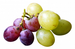 Red and Green Grapes PNG Image - PurePNG | Free transparent CC0 PNG ...