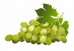 Download Green Grapes Clip Art Png For Designing - Green ...
