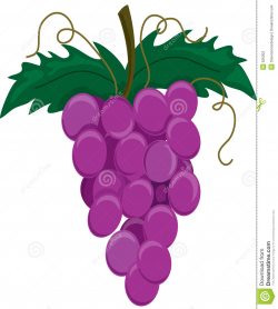Purple Grapes Clipart | Free download best Purple Grapes ...