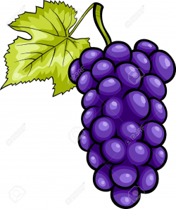 Purple Grapes Clipart | Free download best Purple Grapes ...