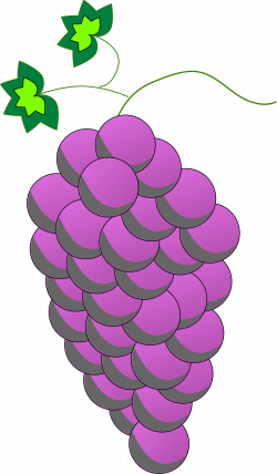 Clipart - Colored Grapes line art - Purple