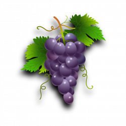 Purple Grapes 1920x1920 | Clipart Everyday Foods | Pinterest