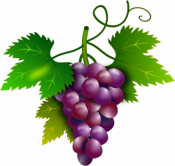 Grapes Clipart Purple Food - Cacho De Uva Png Transparent ...