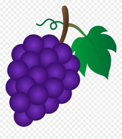 Bunch Of Purple Grapes - Grapes Clipart - Png Download ...