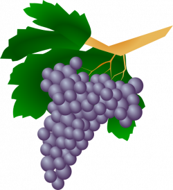 Purple Grapes Clip Art at Clker.com - vector clip art online ...