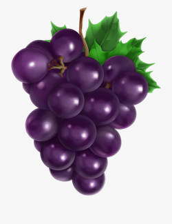 Transparent Png Picture Gallery - Apple Banana Orange Grapes ...