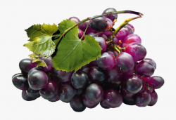 Grapes Clipart Real - Grapes Black Png #312687 - Free ...