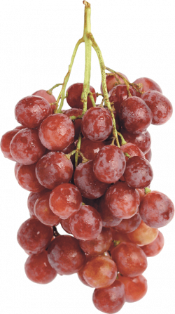 red grapes png - Free PNG Images | TOPpng
