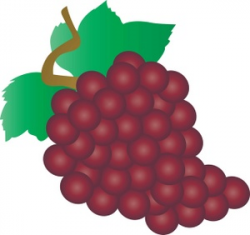 Free Red Grapes Cliparts, Download Free Clip Art, Free Clip ...