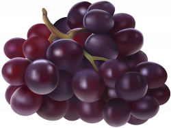 Grapes Transparent PNG Image | Gallery Yopriceville - High-Quality ...
