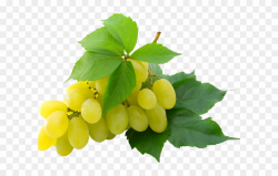 Grapes Clipart Single Grape - Grapes Transparent Png ...