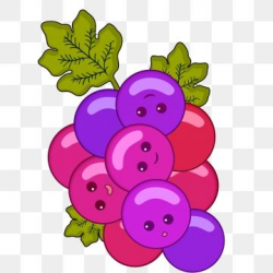 2019 的 Cartoon Grape Grape Summer Food Summer, Summer Fruit ...