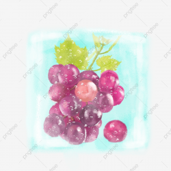 Hand-painted Grapes Fruit Grapes Purple Grapes Delicious Ice ...