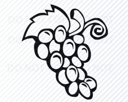 Grapes SVG File - Fruit Vector Images Silhouette Clip Art Grapes SVG Files  For Cricut- Eps, Png, dxf ClipArt fruit svg clipart grapes images