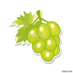 Green grapes. Sweet fruit. Isolated berries on white ...