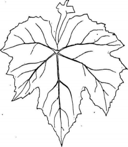 grape leaf template printable - Google Search | Crosses ...