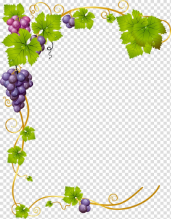 Green and purple fruit template, Common Grape Vine Wine ...