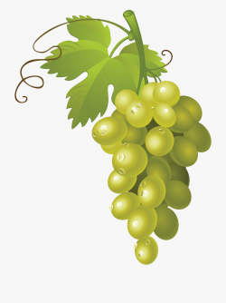 Transparent Background Green Grapes Clipart #119874 - Free ...