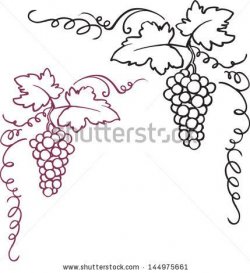 Vine and berries clip art Free vector for free download ...
