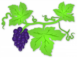 Clipart - Grapes