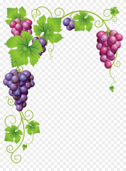 Vine Clipart Vineyard Grape - Grapes Frame - Free ...