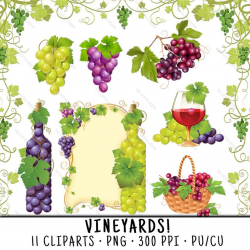 Grapes Clipart, Wine Clipart, Vineyard Clipart, Grapes Clip Art, Wine Clip  Art, Vineyard Clip Art, Green Grapes PNG, Red Grapes PNG