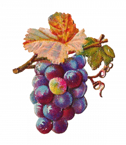 purple grape download | animal clip art | Pinterest | Clip art ...