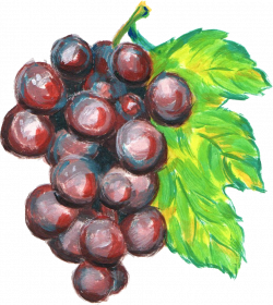11 Grape Paint Fruit (PNG Transparent) | OnlyGFX.com