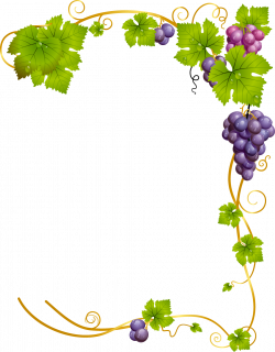 Common Grape Vine Wine - WATERCOLOR LEAF 998*1279 transprent Png ...