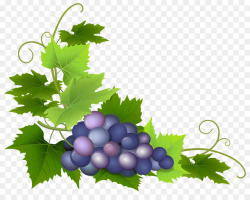 Grapes Cartoon clipart - Wine, Grape, Food, transparent clip art