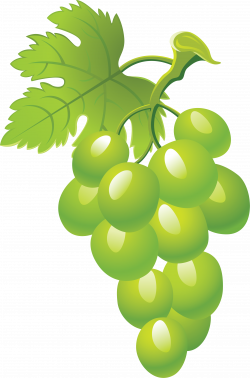 Grapes PNG Image - PurePNG | Free transparent CC0 PNG Image Library