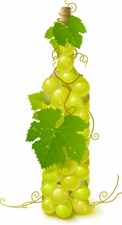 Wine Common Grape Vine Clip art - Wine pattern 876*1616 transprent ...